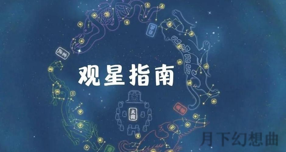 如何通过星空平台入口探索无限可能