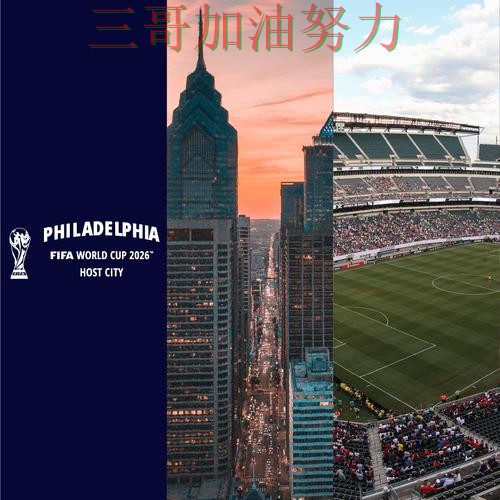 世界杯投注平台排行实录：如何操作真实情况曝光（FIFA World Cup 2026）